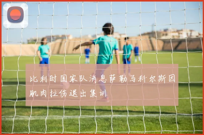 比利时国家队消息萨勒马科尔斯因肌肉拉伤退出集训