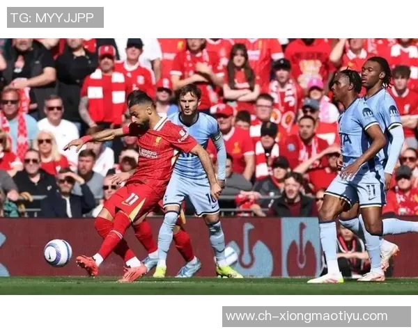 阿森纳夺冠概率领先利物浦巴黎欧冠前十预测揭晓 阿森纳夺冠概率领先利物浦巴黎欧冠前十预测揭晓